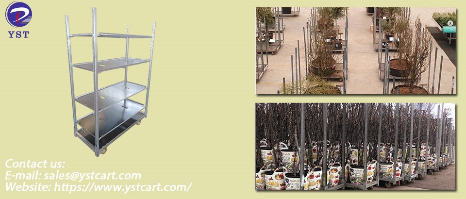 plant trolley to transport sapling plant trolley to transport sapling