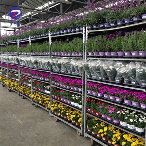 Greenhouse Shelves Flower Carts