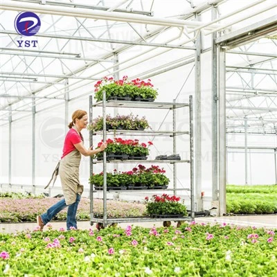 Blumentransportgestell