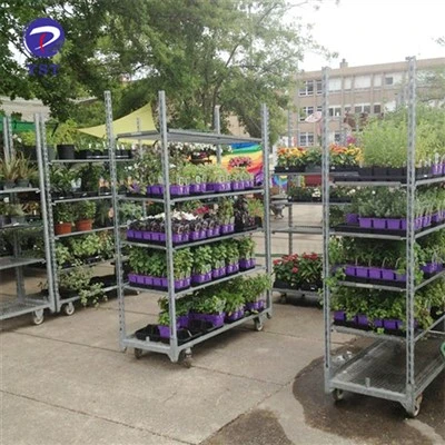 Verzinkte Blumenwagen für Gewächshäuser