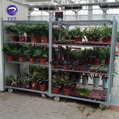Trolley-Wagen aus Drahtgeflecht, Blume