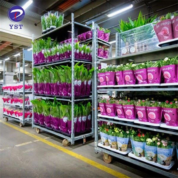 Trolleys To Transport Plants