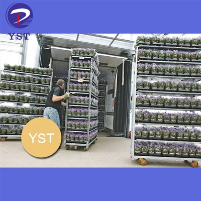 Transportieren Sie Blumen beruhigt mit dänischen Trolleys