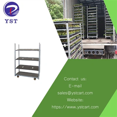 Die Vorteile der Verwendung dänischer Trolleys für die Verteilung von Pflanzen